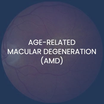 Age-Related Macular Degeneration (AMD) Near Me in New Haven CT, Hamden CT, Madison CT, Trumbull CT, Norwalk CT, and Fairfield, CT Age-Related Macular Degeneration (AMD) Near Me in New Haven CT, Hamden CT, Madison CT, Trumbull CT, Norwalk CT, and Fairfield, CT